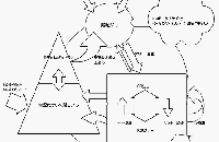 ニコ厨夢オチ後追い宣言！